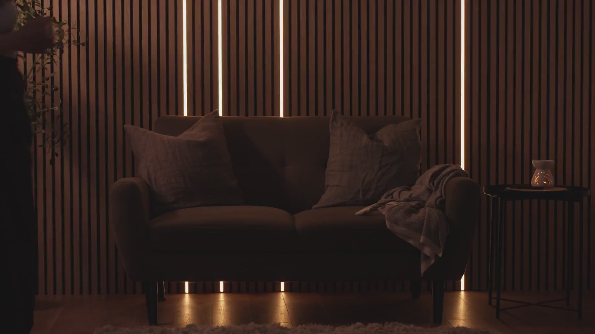 Load video: 