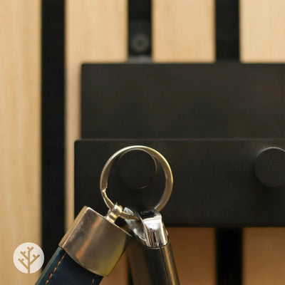 Two shelves with pegs at different heights on Acupanel wall creating functional storage display
